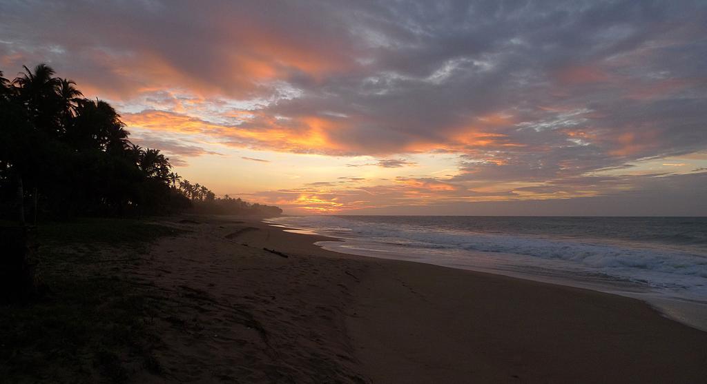 Seven Turtles Hotel Tangalle Bagian luar foto